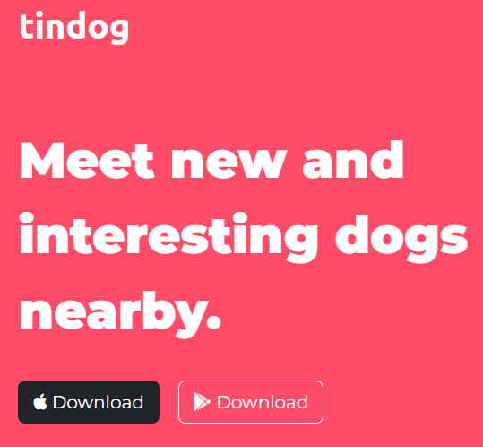 tindog-snapshot